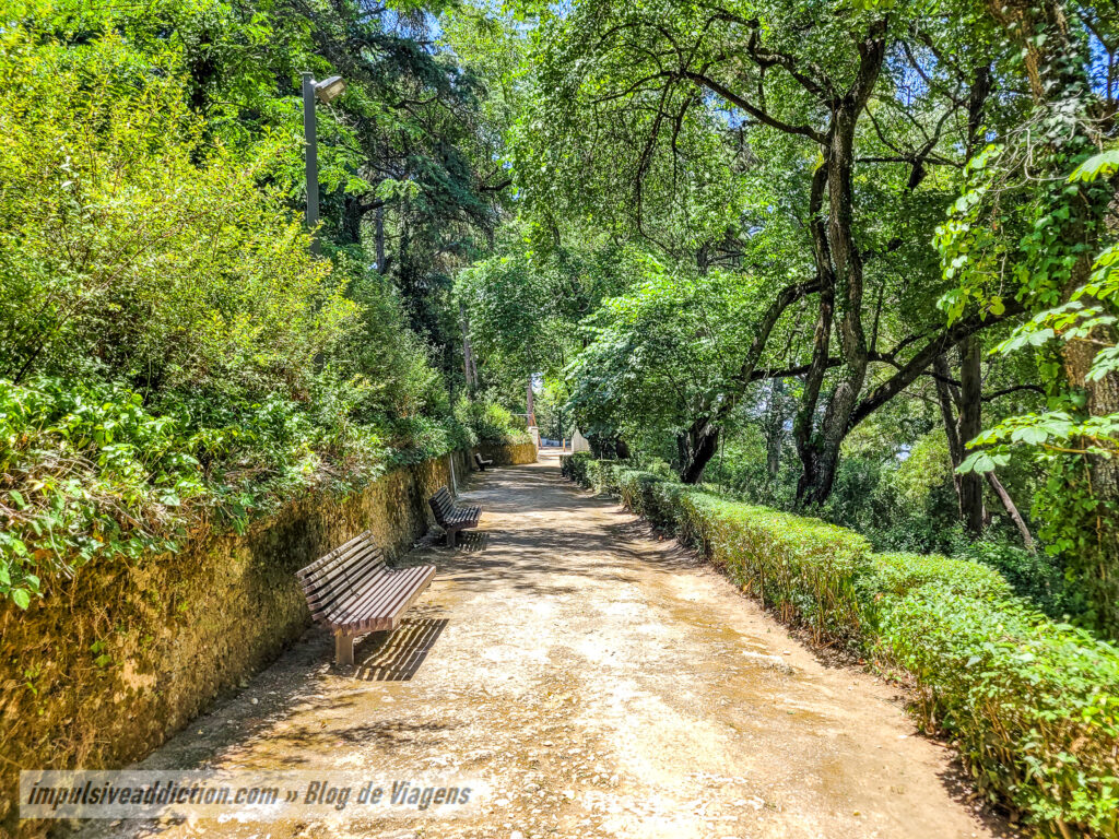 Parque Venâncio Ribeiro da Costa