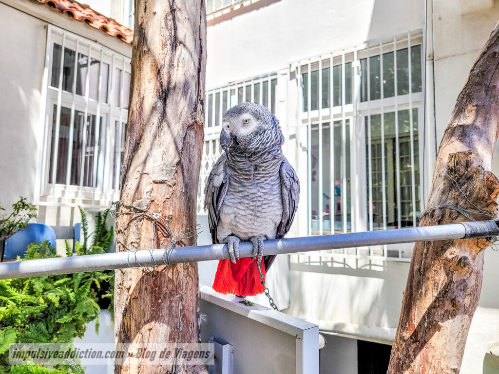Casa-Museu Amália Rodrigues em Lisboa