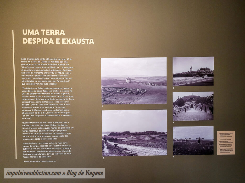 Centro de Interpretação de Monsanto