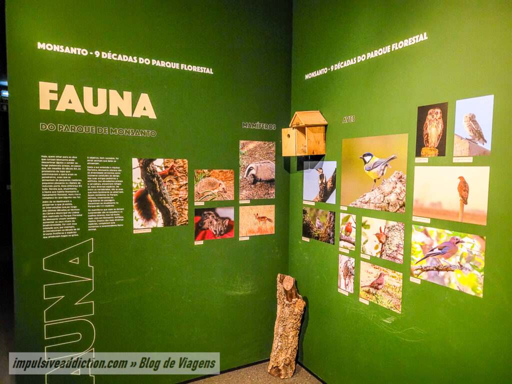 Centro de Interpretação de Monsanto