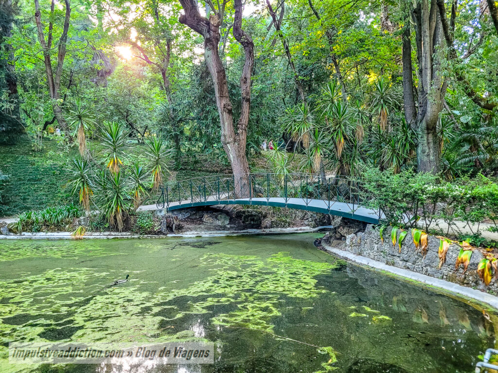 Jardim Botânico de Lisboa