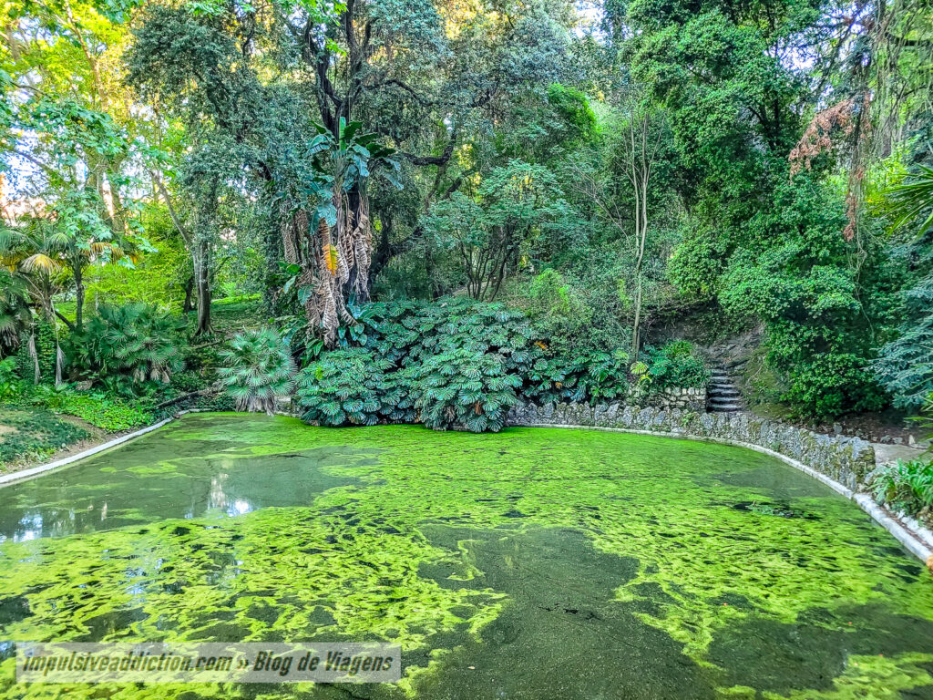Jardim Botânico de Lisboa