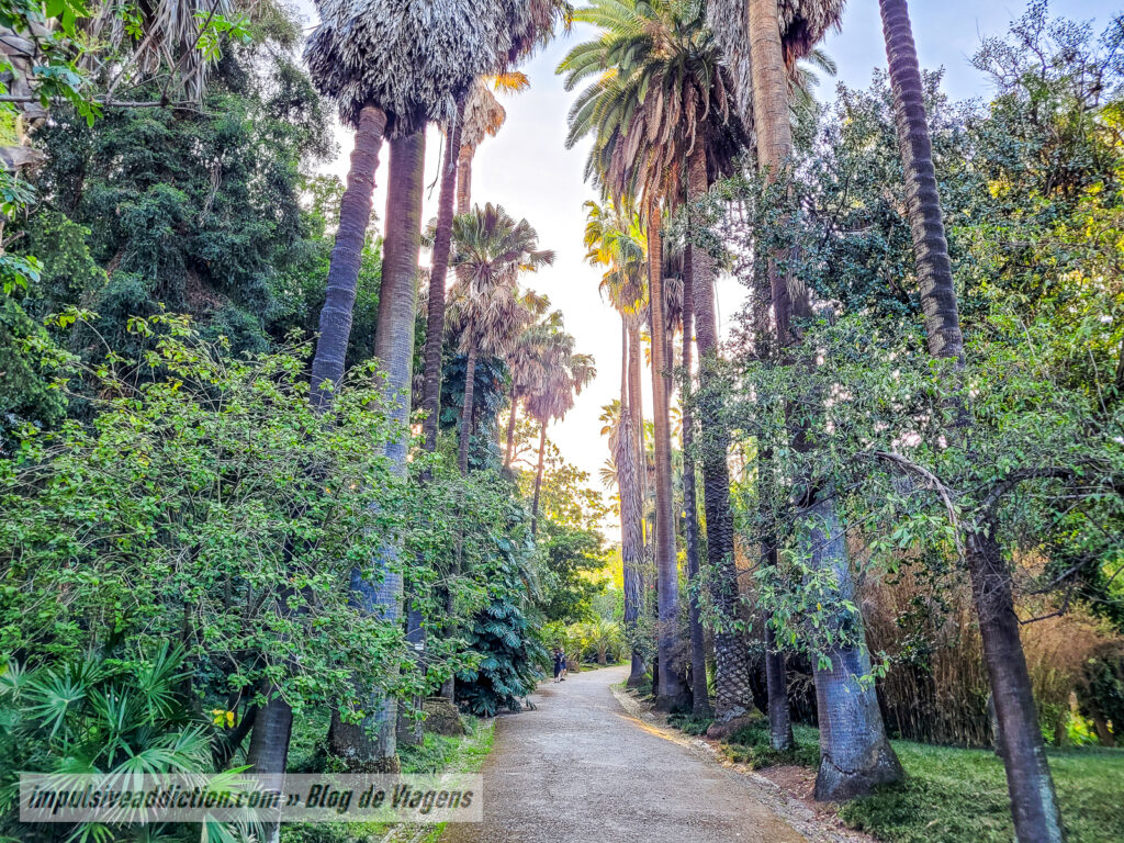 Jardim Botânico de Lisboa