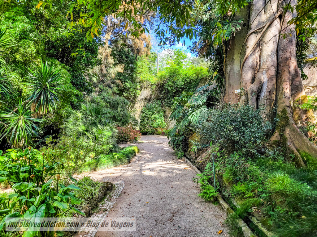 Jardim Botânico Monteiro-Mor em Lisboa