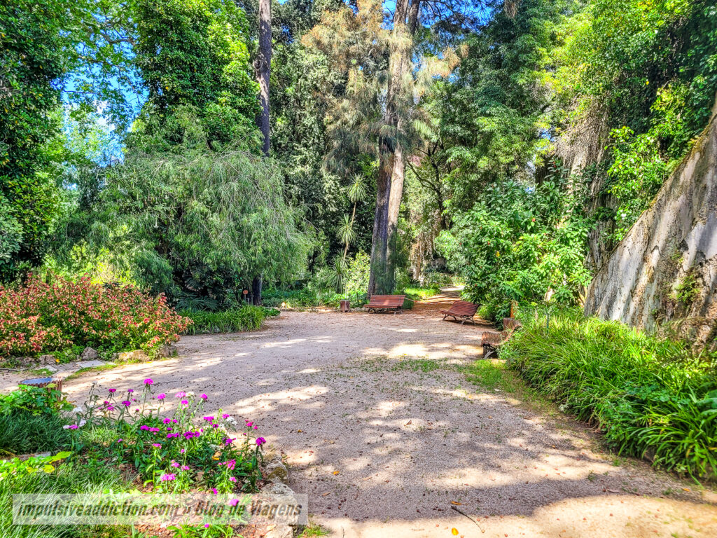 Jardim Botânico Monteiro-Mor em Lisboa