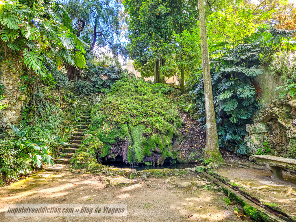 Jardim Botânico Monteiro-Mor em Lisboa