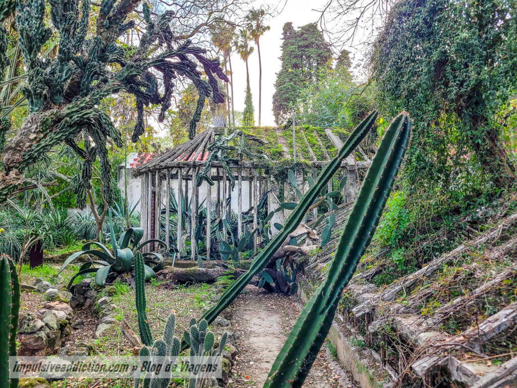 Jardim Botânico Tropical de Belém