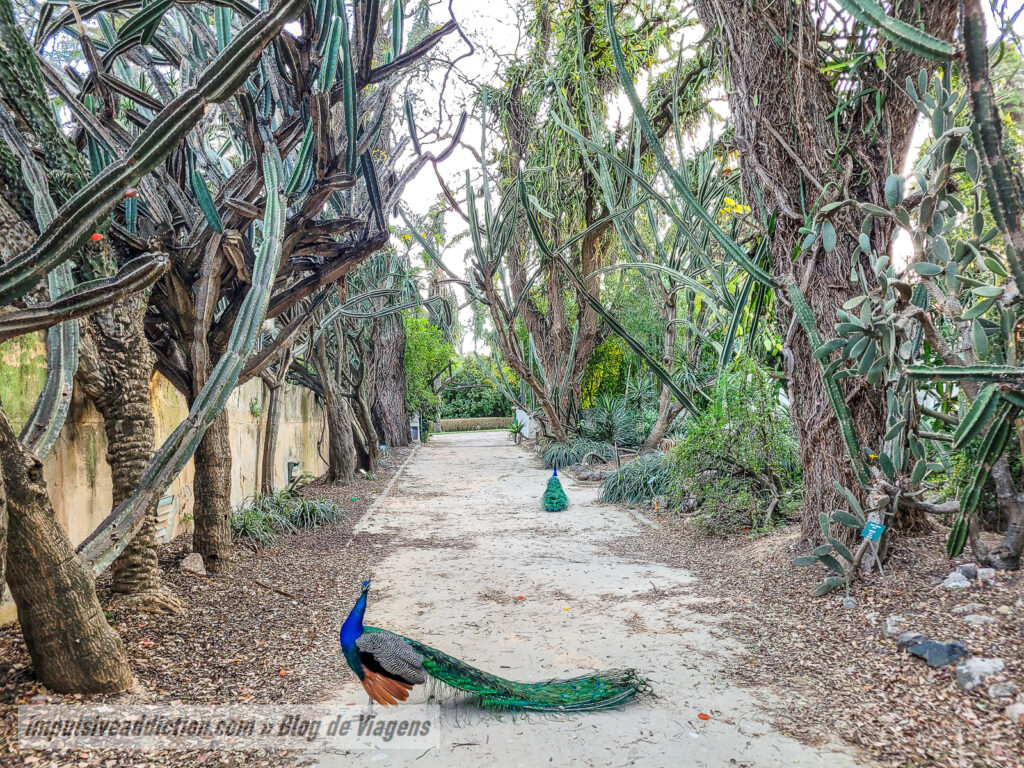 Jardim Botânico Tropical de Belém