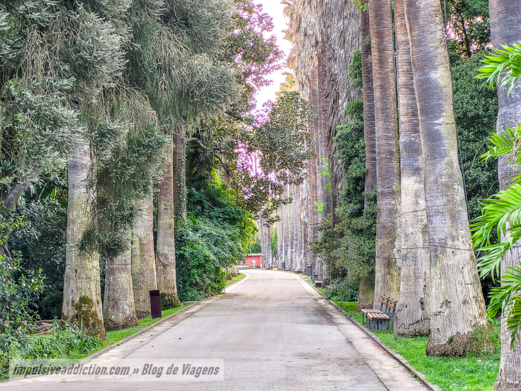 Jardim Botânico Tropical de Belém
