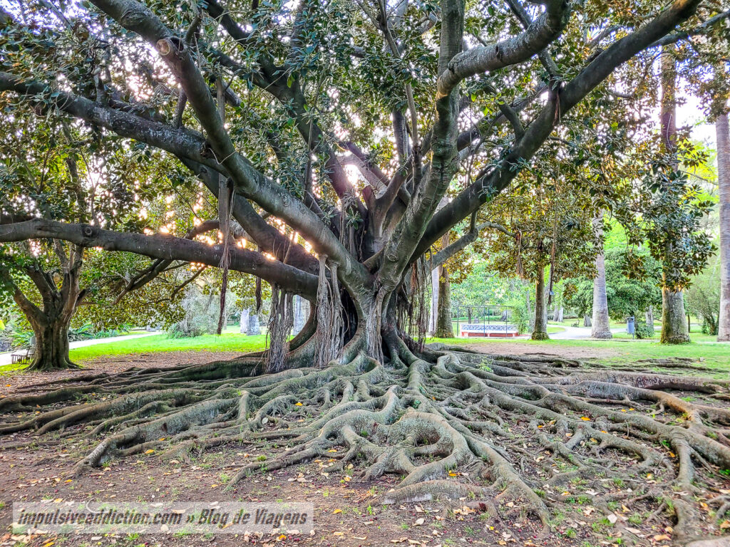 Jardim Botânico Tropical de Belém