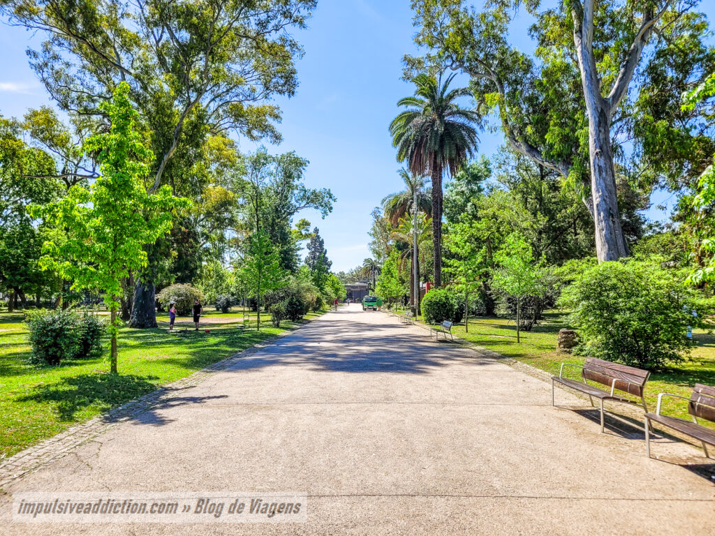 Jardim Mário Soares no Campo Grande