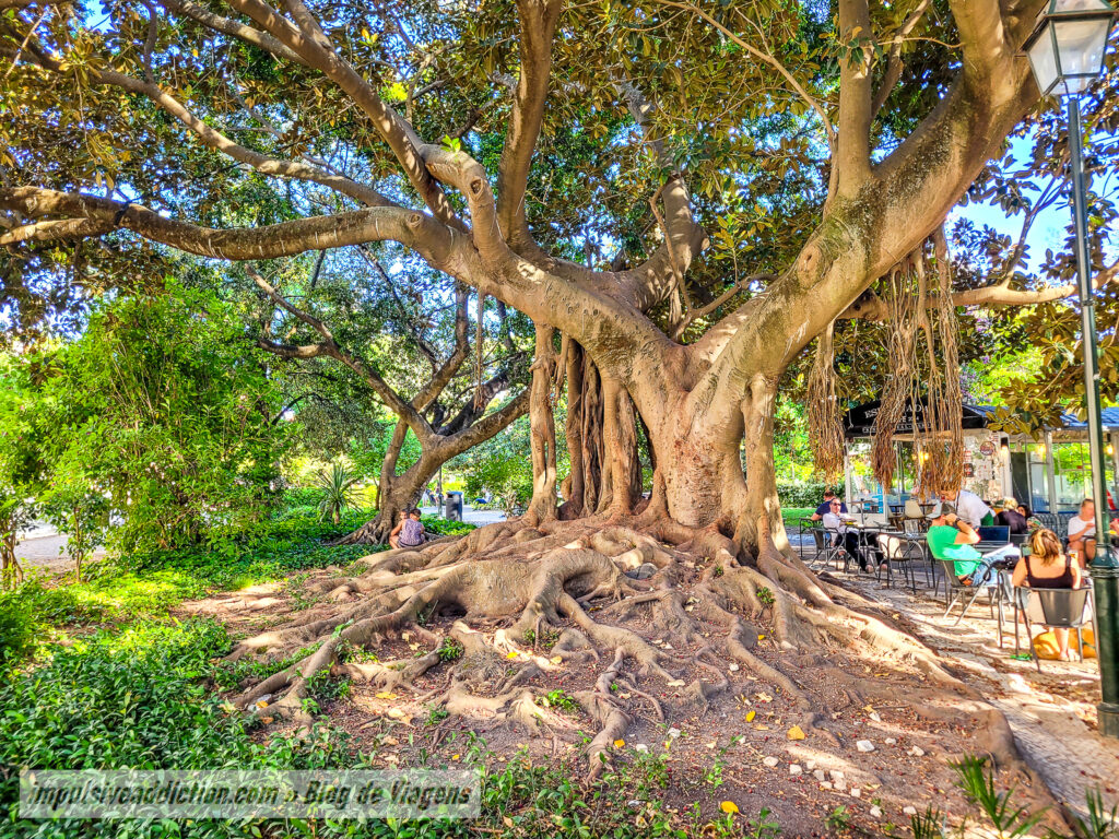 Jardim do Principe Real