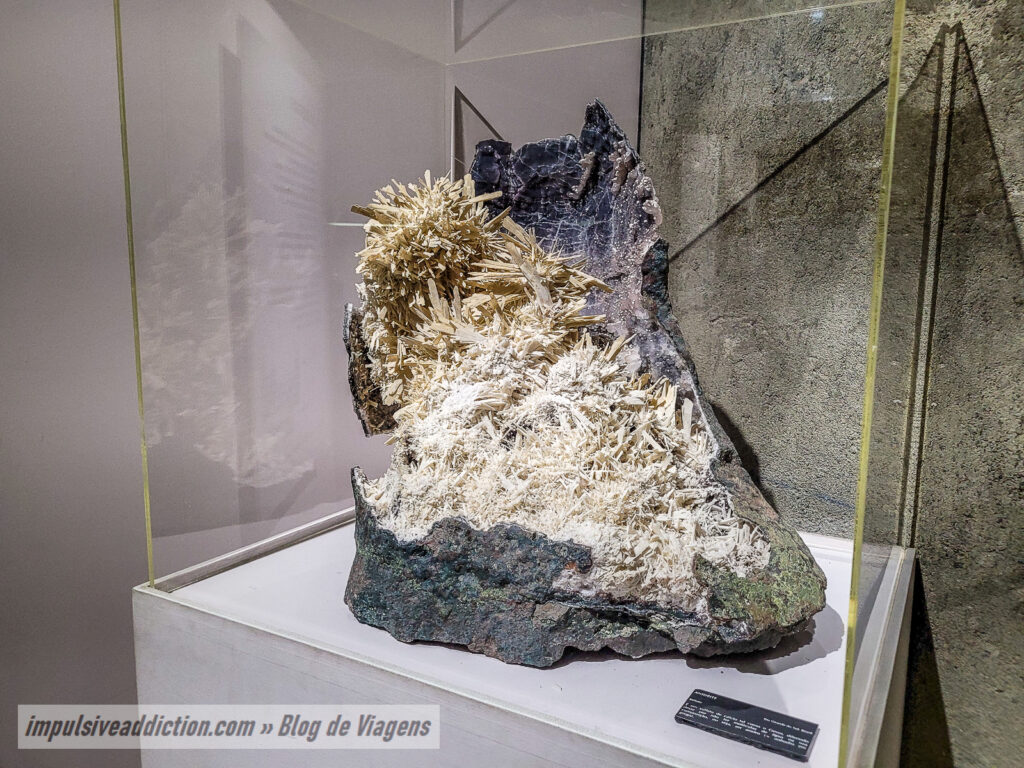 Museu de História Natural de Lisboa