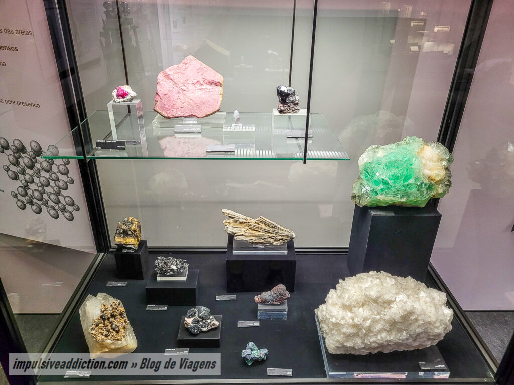 Museu de História Natural de Lisboa
