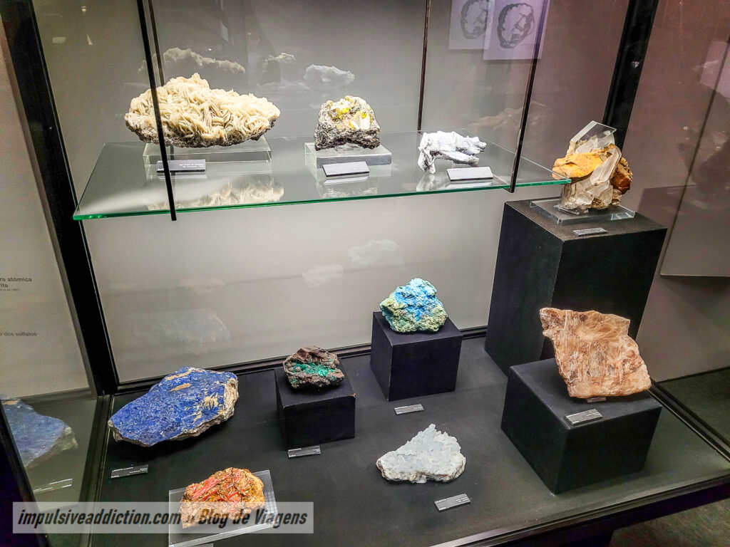Museu de História Natural de Lisboa