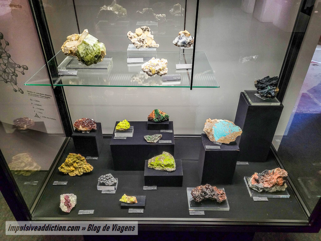 Museu de História Natural de Lisboa