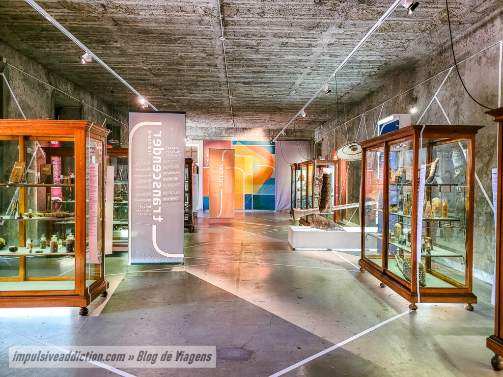 Museu de História Natural de Lisboa