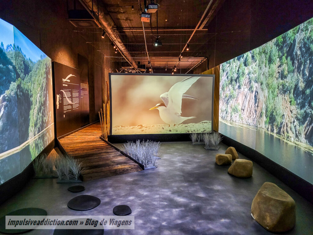 Museu de História Natural de Lisboa