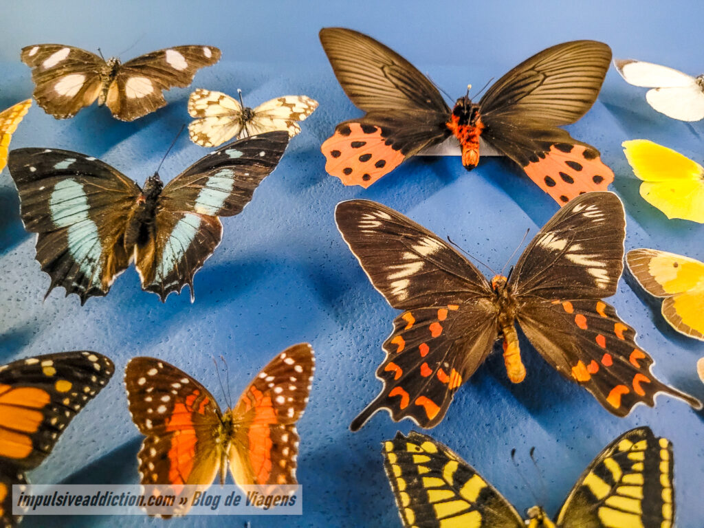 Museu de História Natural de Lisboa