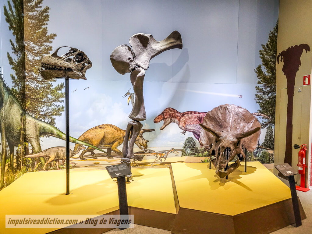 Museu de História Natural de Lisboa