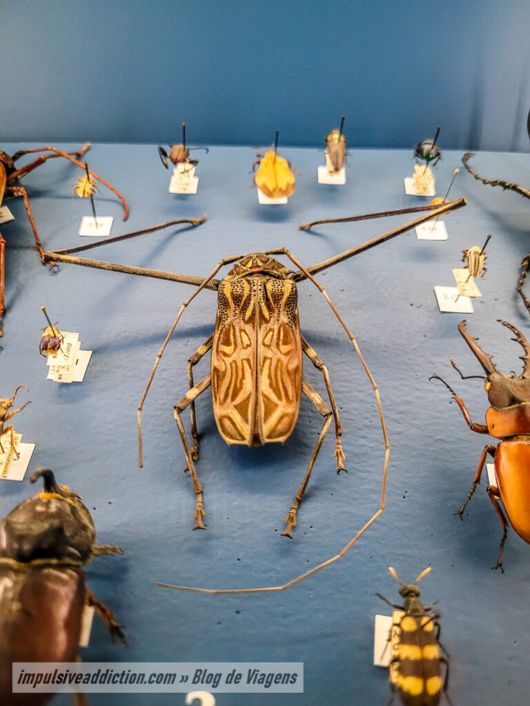 Museu de História Natural de Lisboa