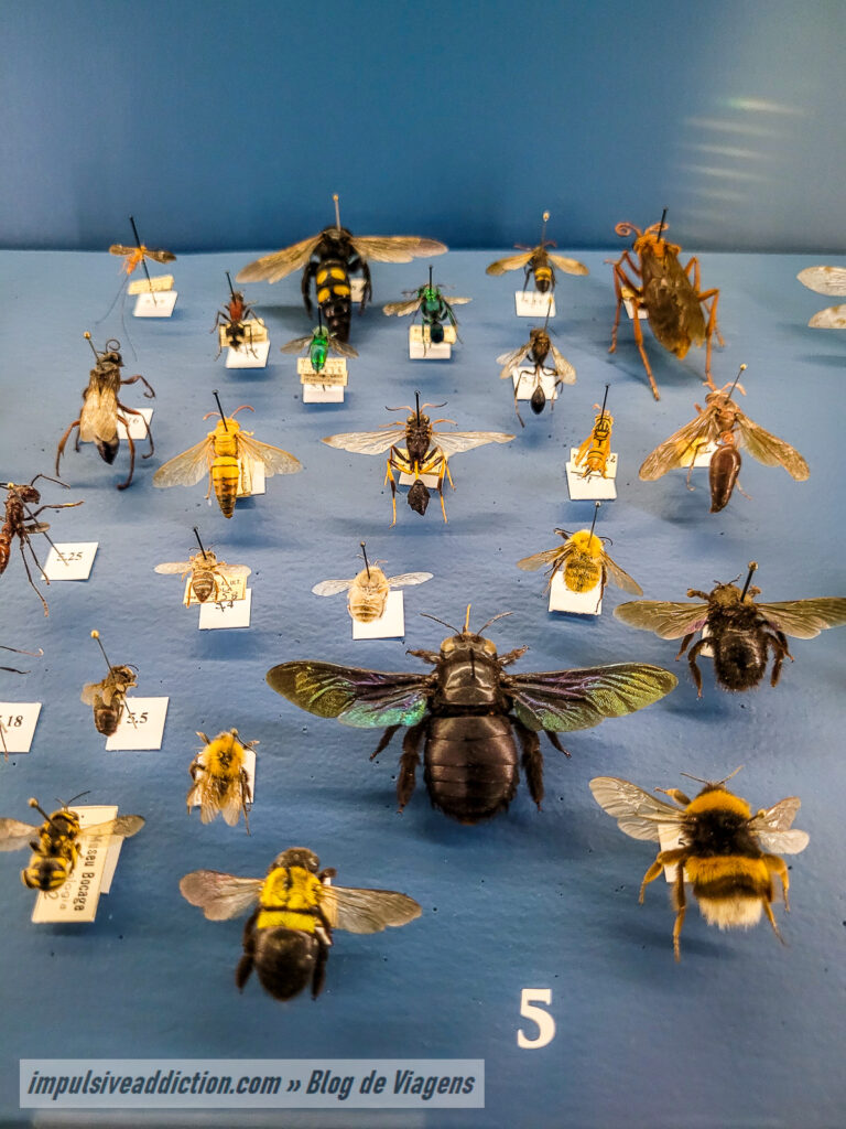 Museu de História Natural de Lisboa