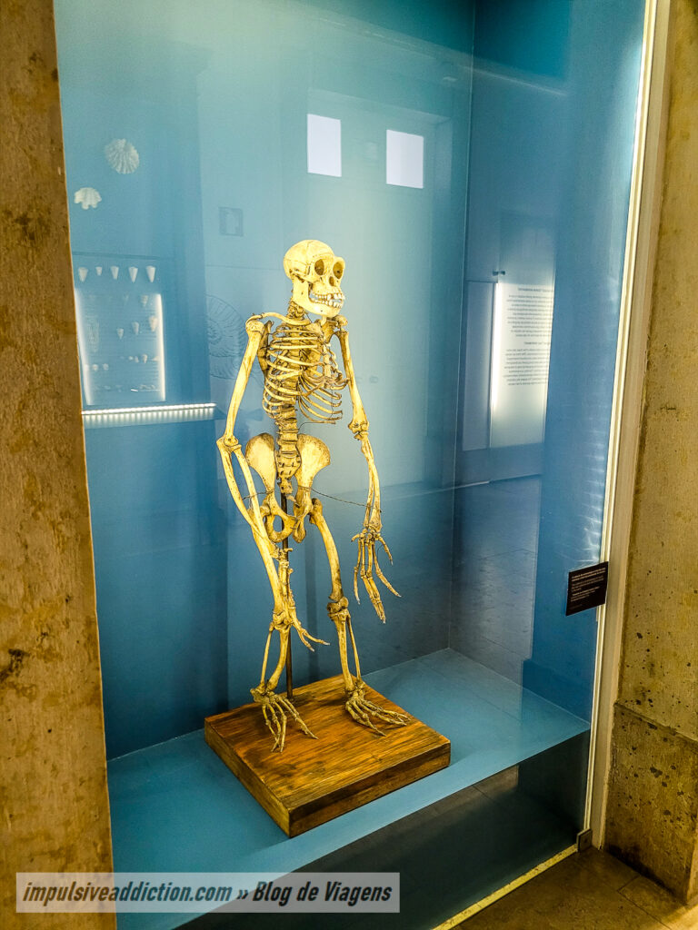 Museu de História Natural de Lisboa