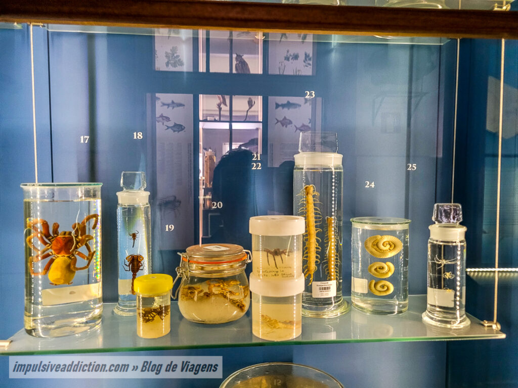 Museu de História Natural de Lisboa