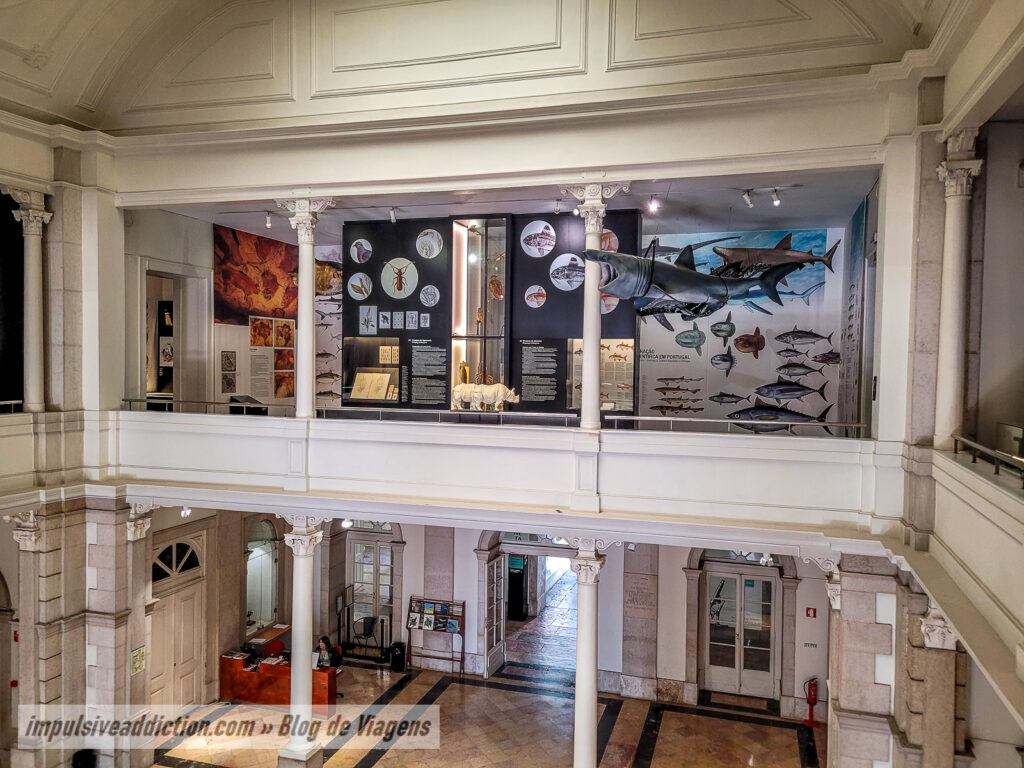 Museu de História Natural de Lisboa