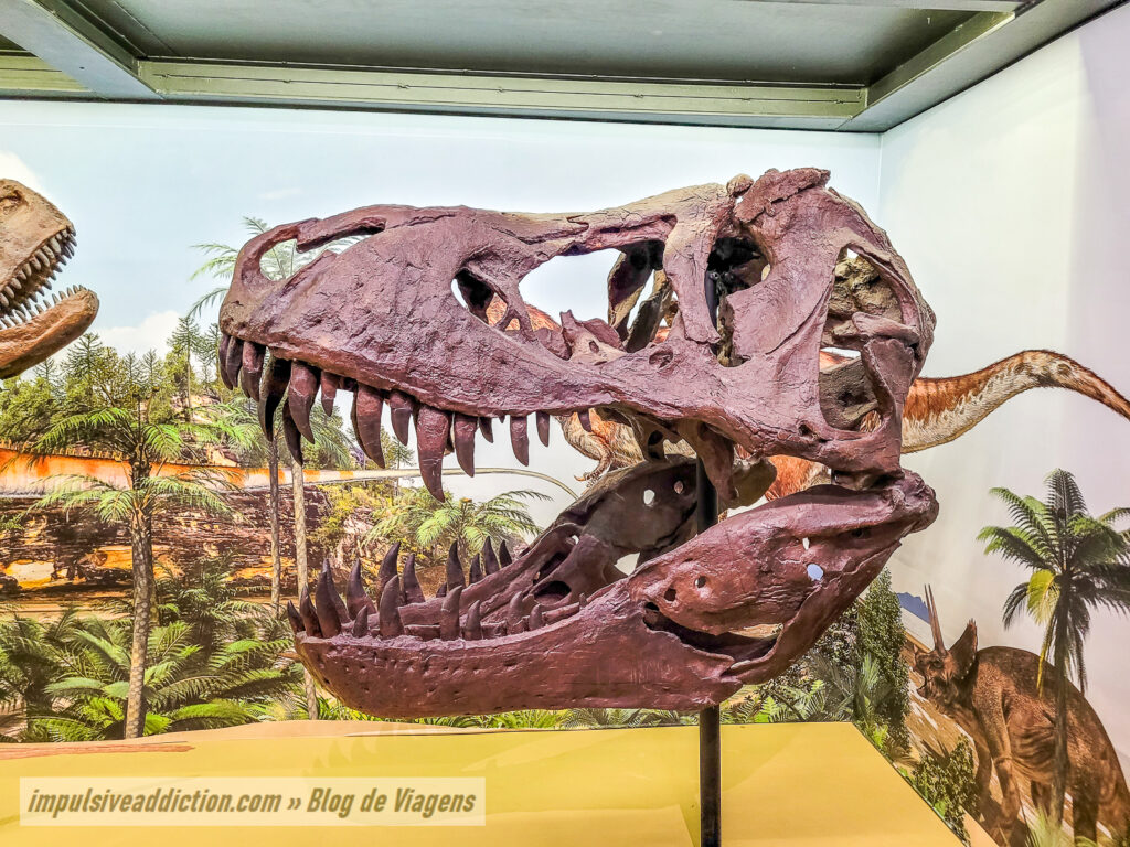 Museu de História Natural de Lisboa
