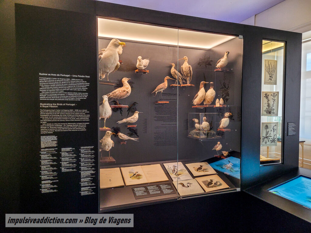 Museu de História Natural de Lisboa