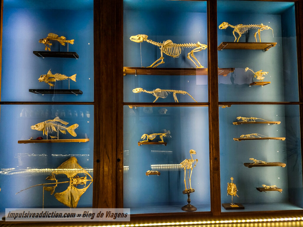 Museu de História Natural de Lisboa