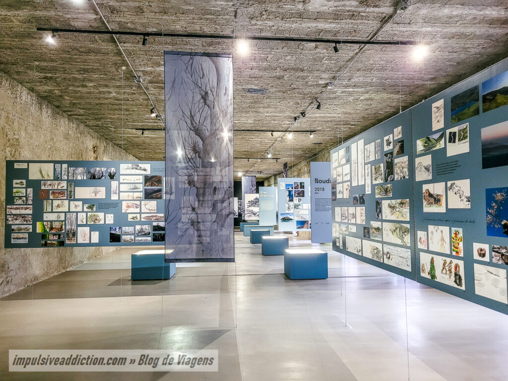 Museu de História Natural de Lisboa