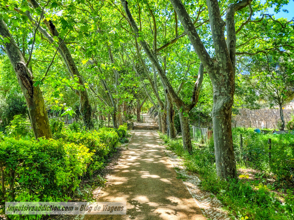 Parque Bensaúde