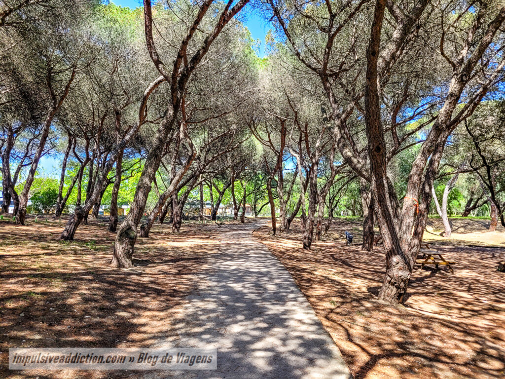 Parque José Gomes Ferreira