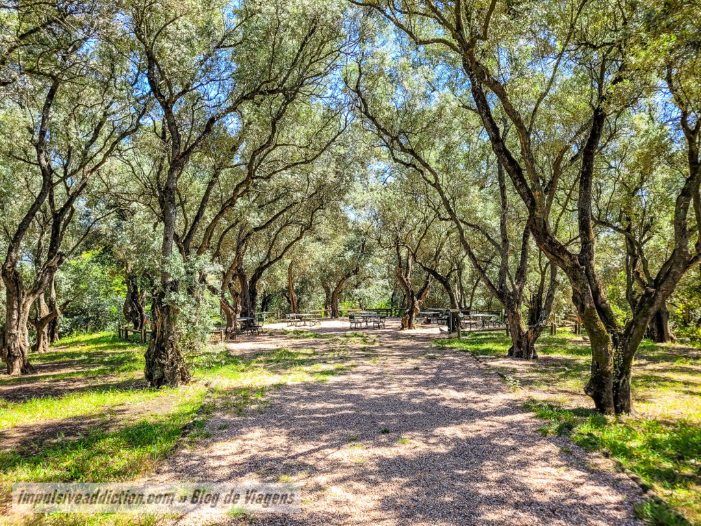 Parque José Gomes Ferreira
