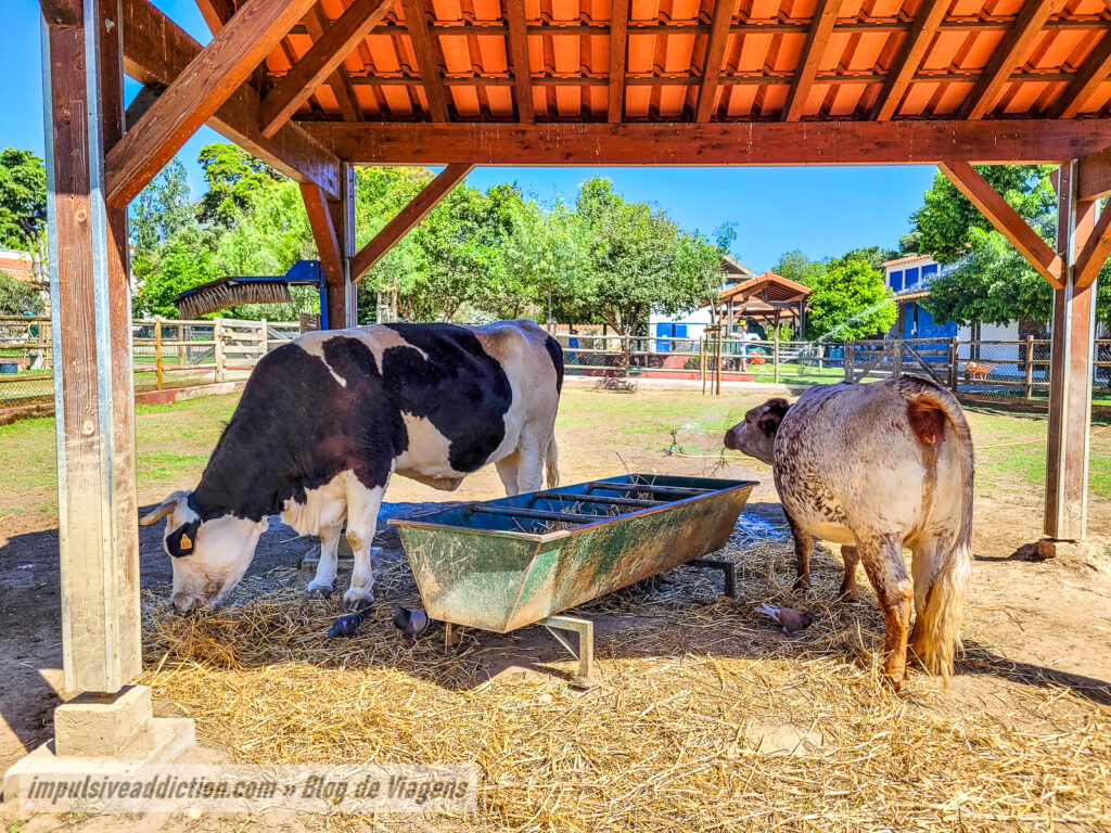 Quinta Pedagógica dos Olivais