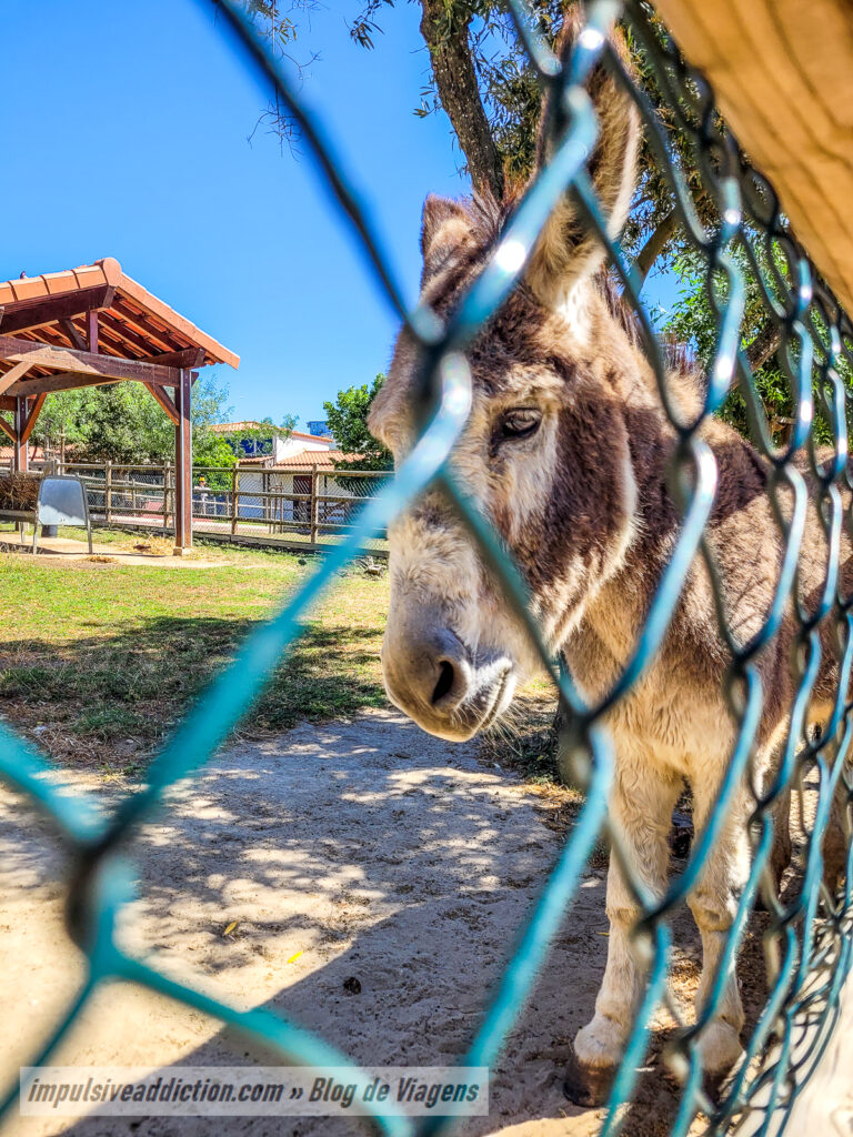 Quinta Pedagógica dos Olivais