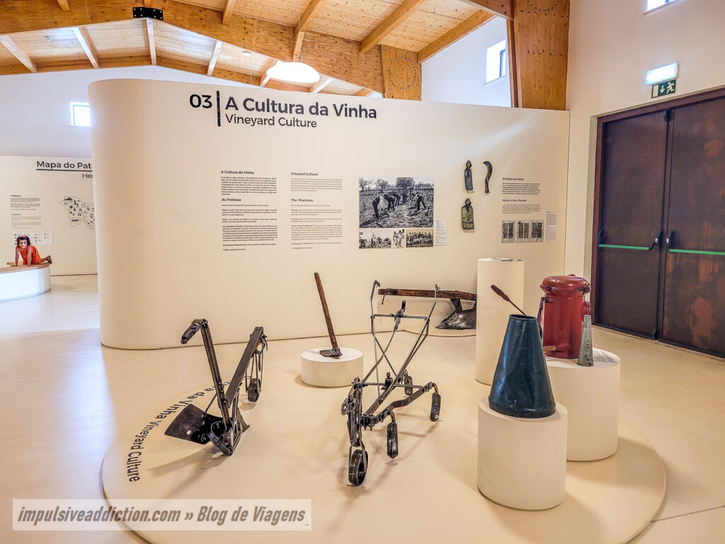 Centro Interpretativo do Vinho de Talha