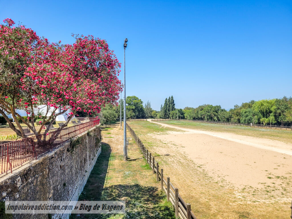 Cruzeiro do Calvário em Benavente