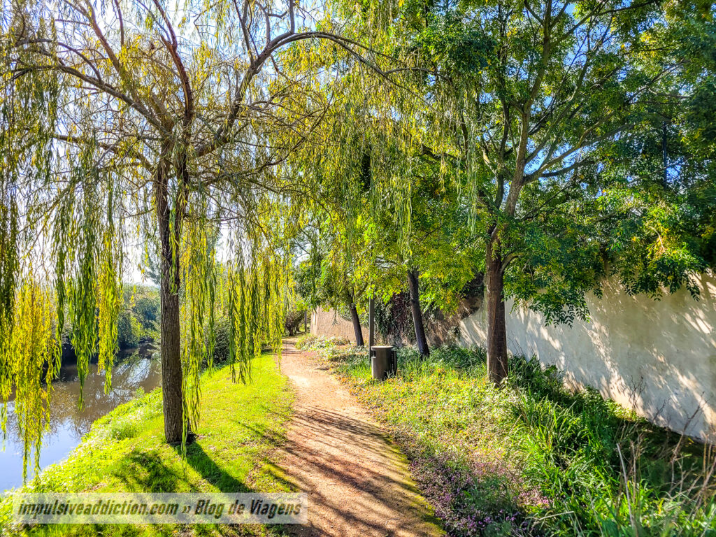 Ecovia do Rio Almonda em Azinhaga