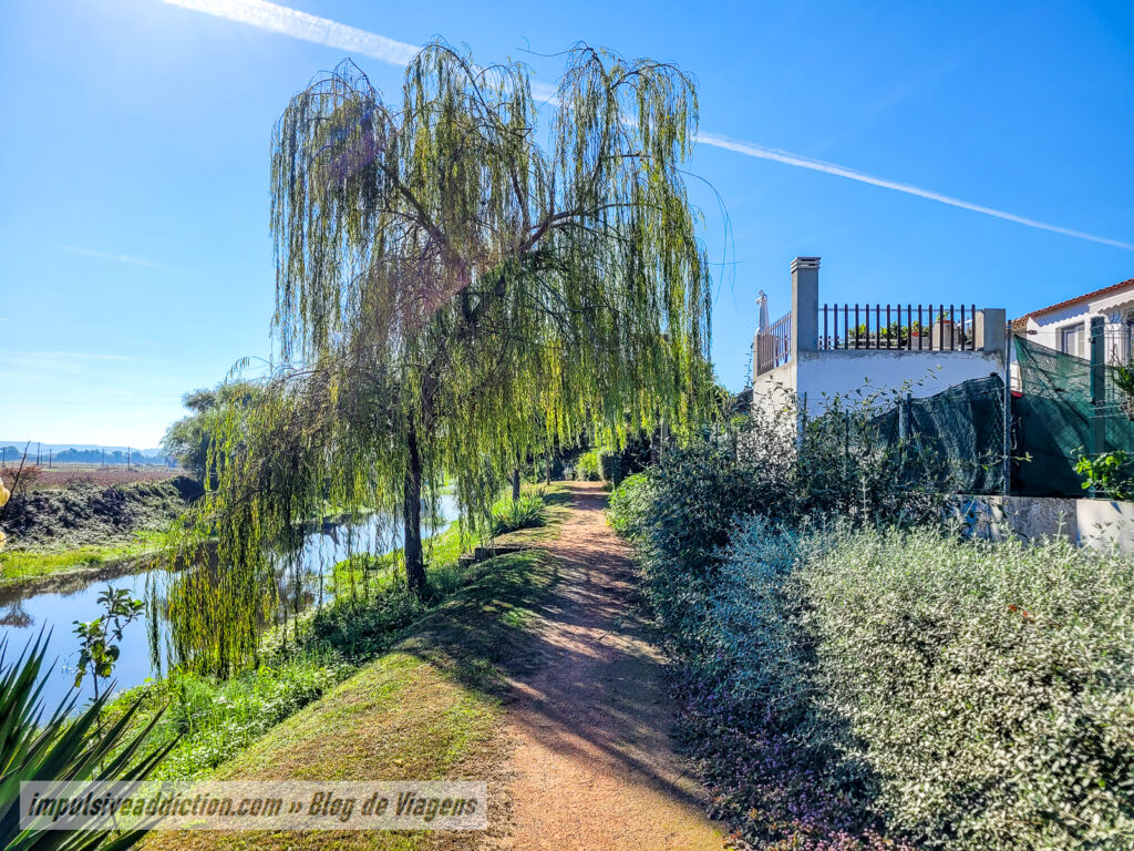 Ecovia do Rio Almonda em Azinhaga