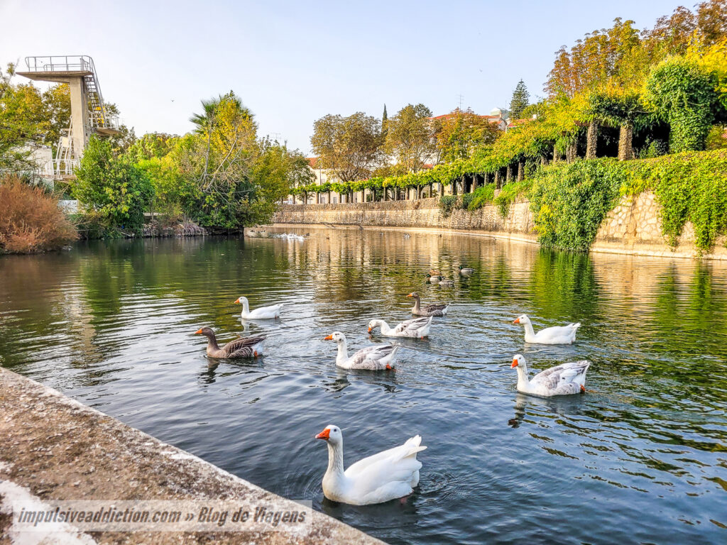Parques e Jardins do Almonda ao visitar Torres Novas