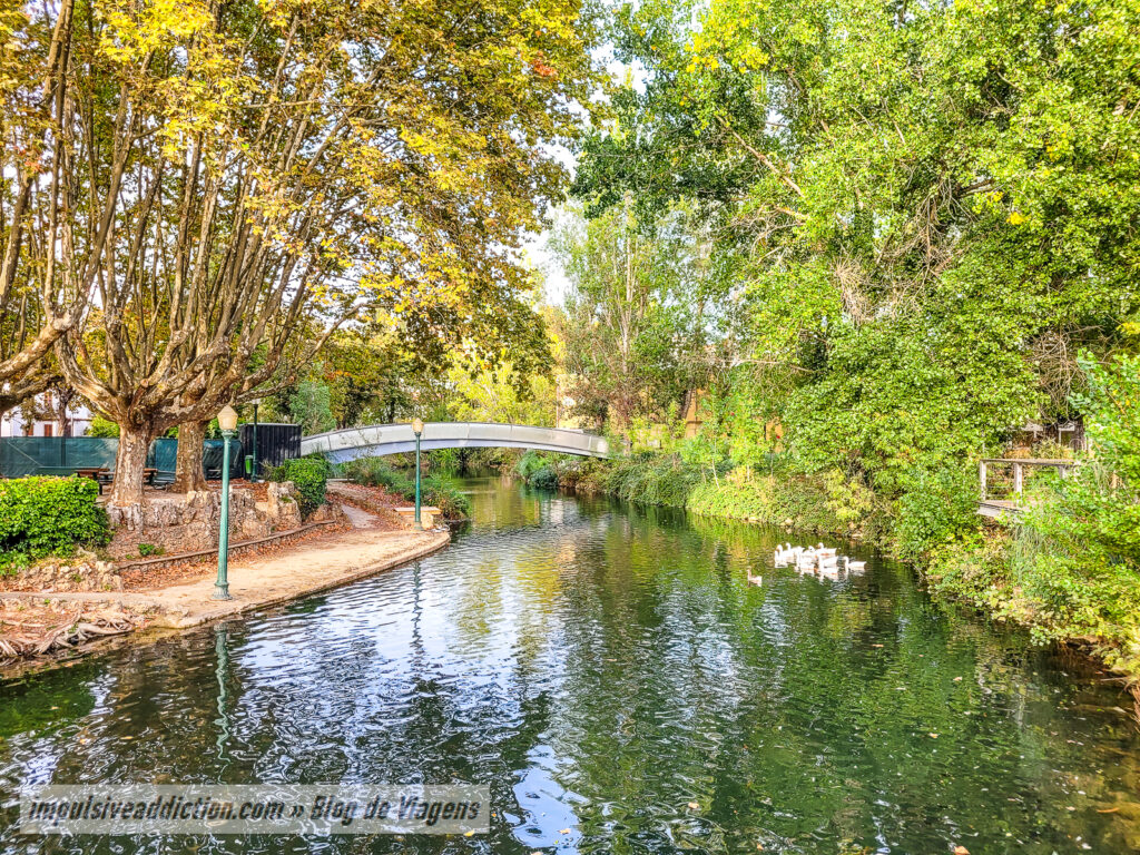 Parques e Jardins do Almonda ao visitar Torres Novas