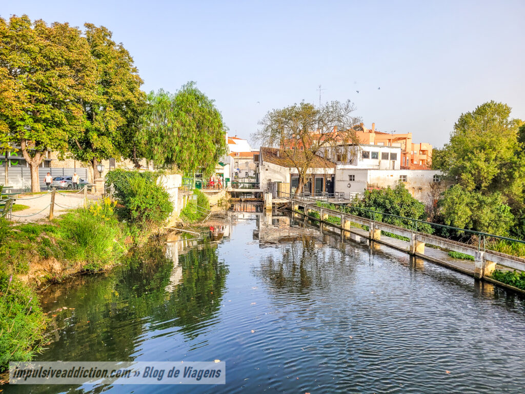 Parques e Jardins do Almonda ao visitar Torres Novas