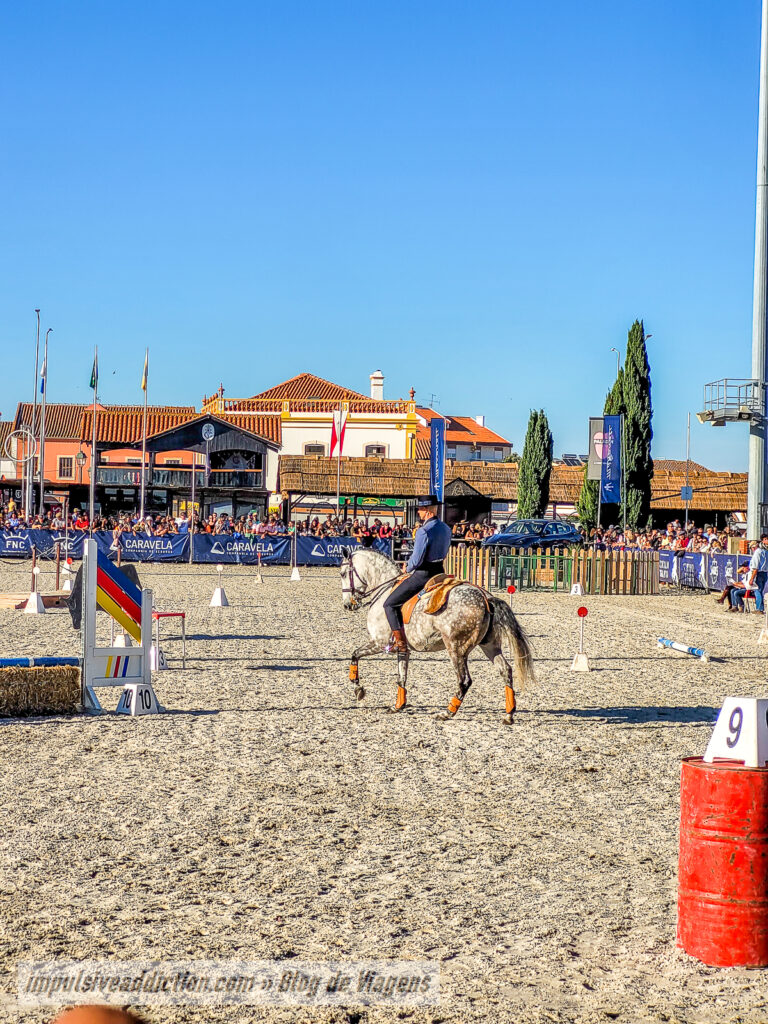 Largo do Marquês de Pombal durante a Feira Nacional do Cavalo