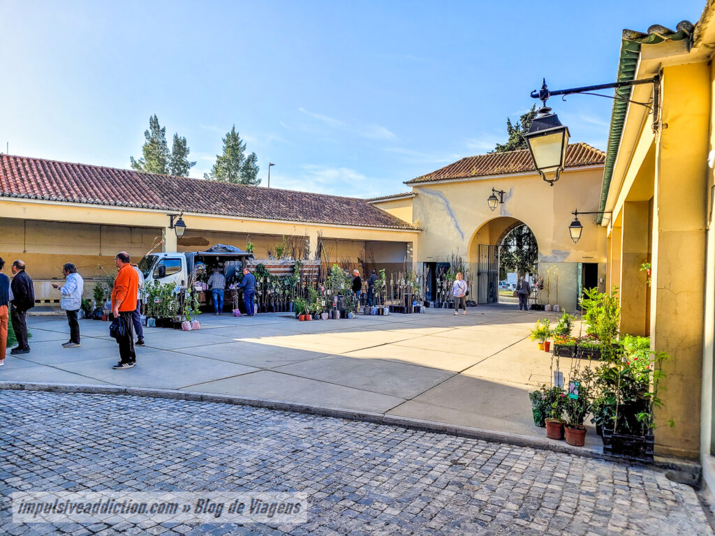Mercado Municipal do Cartaxo