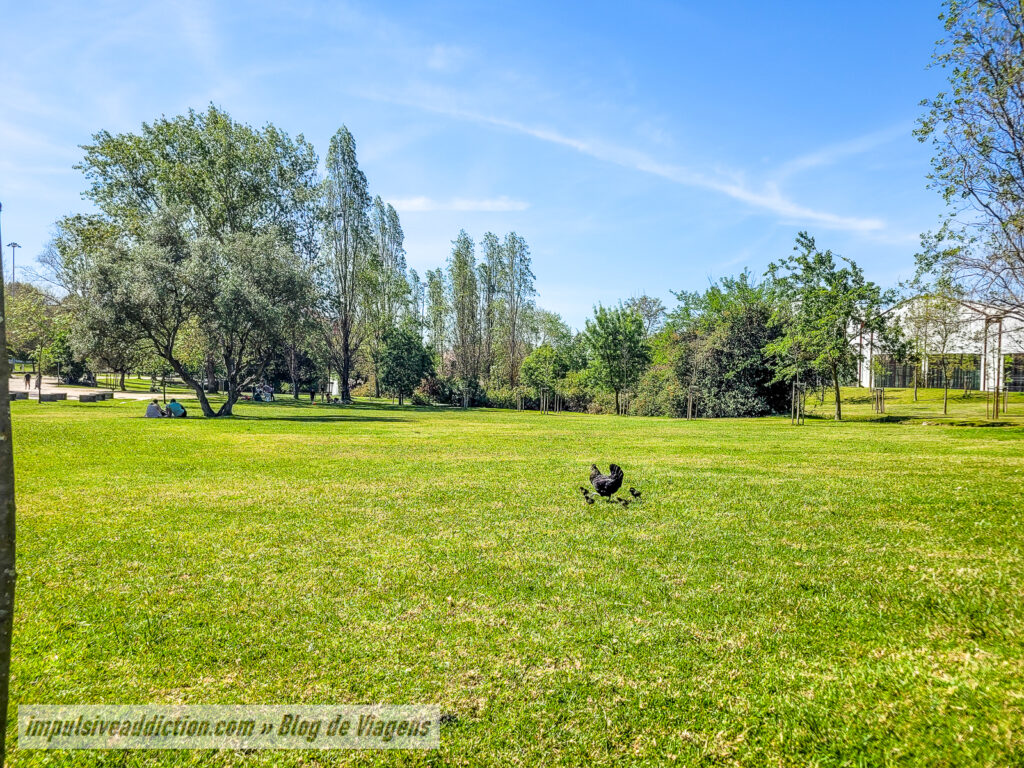 Parque da Cidade do Barreiro
