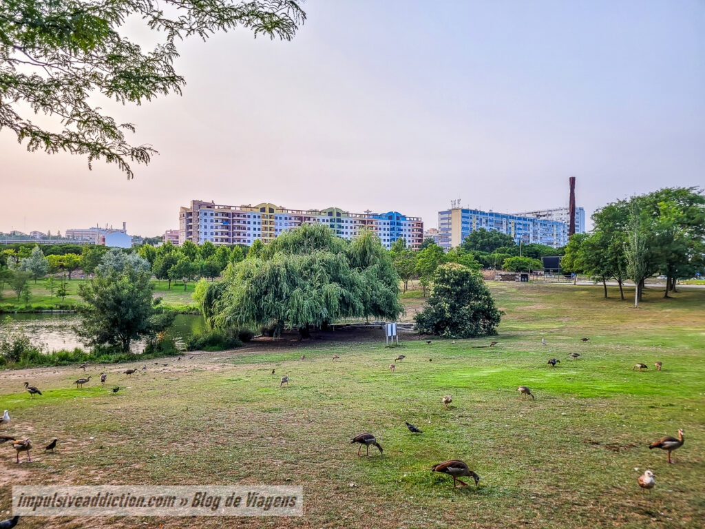 Parque da Paz