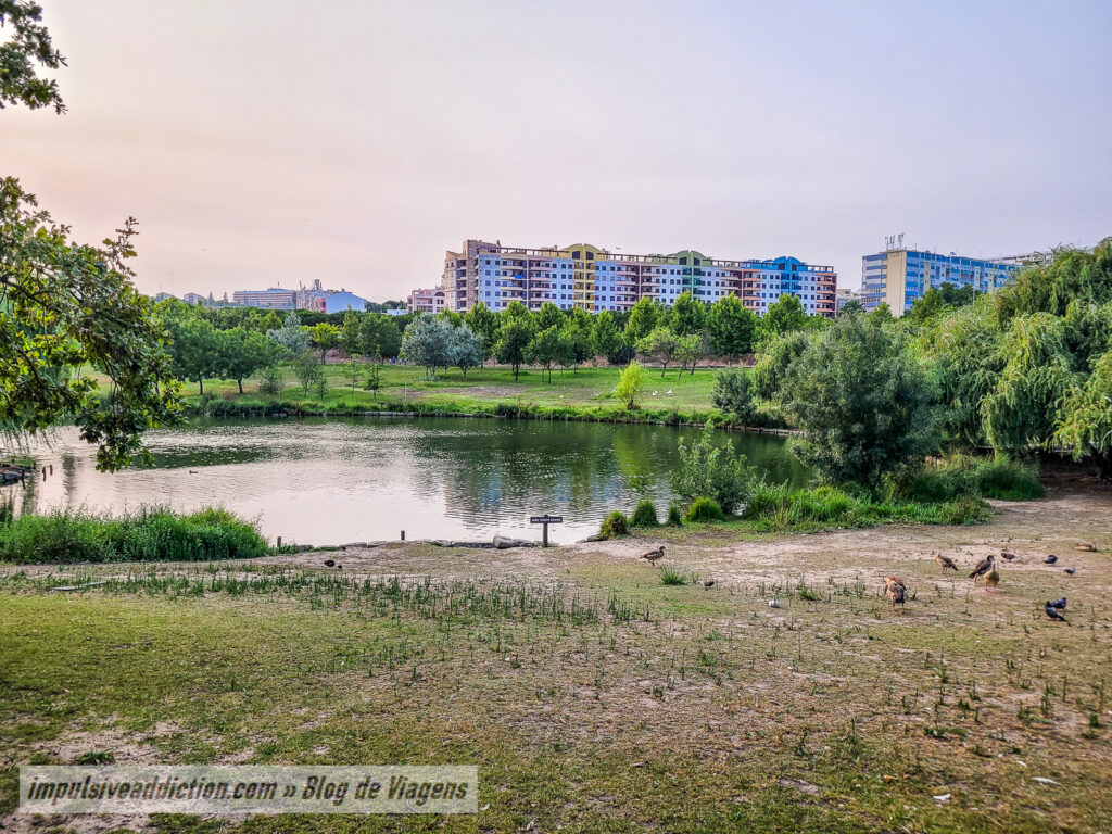 Parque da Paz